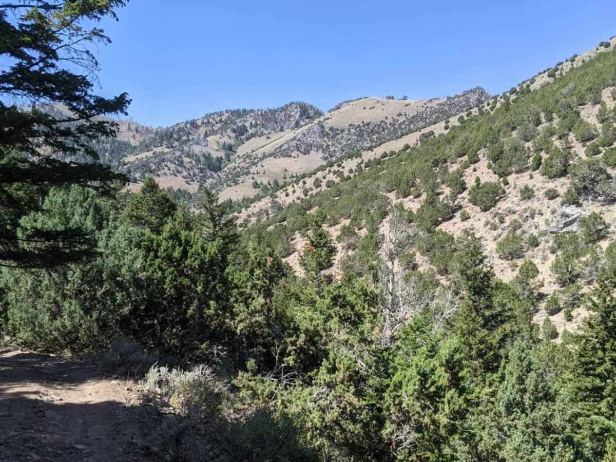 Martin Fork trail photo