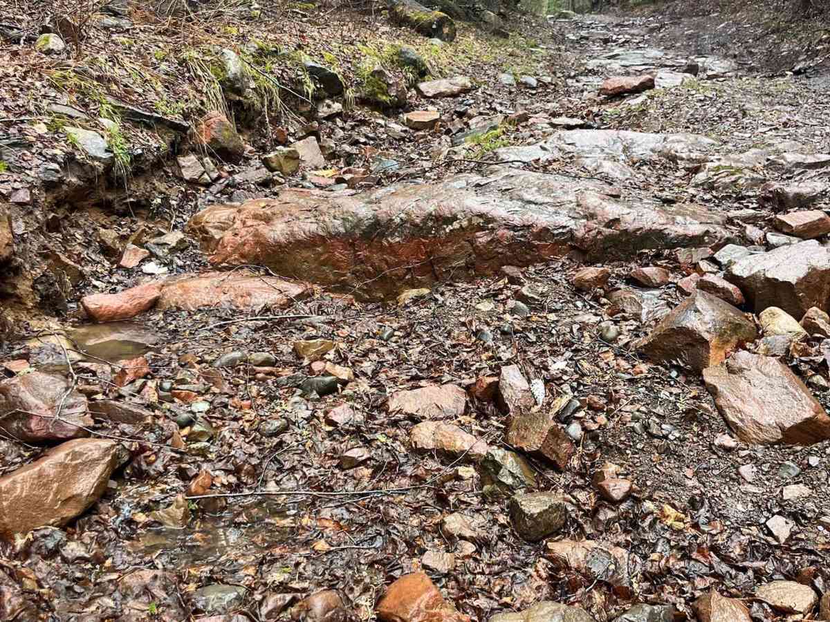 Thrasher Trail photo 4