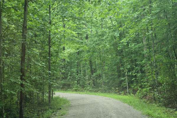 Terry Cemetery Road