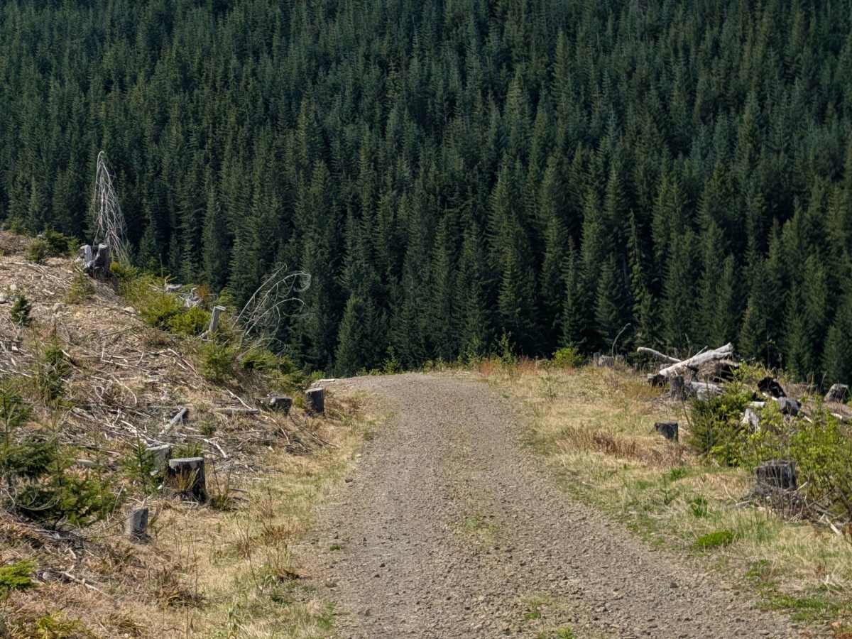 Jesse Creek photo 3