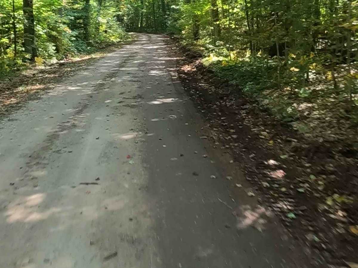 Taylor Creek - FS 3329  photo 5