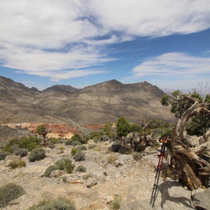 Near Turtlehead Peak Trail