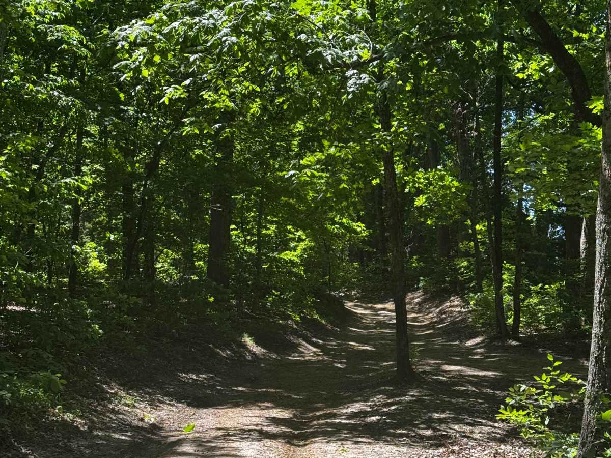 Perimeter Bypass trail photo
