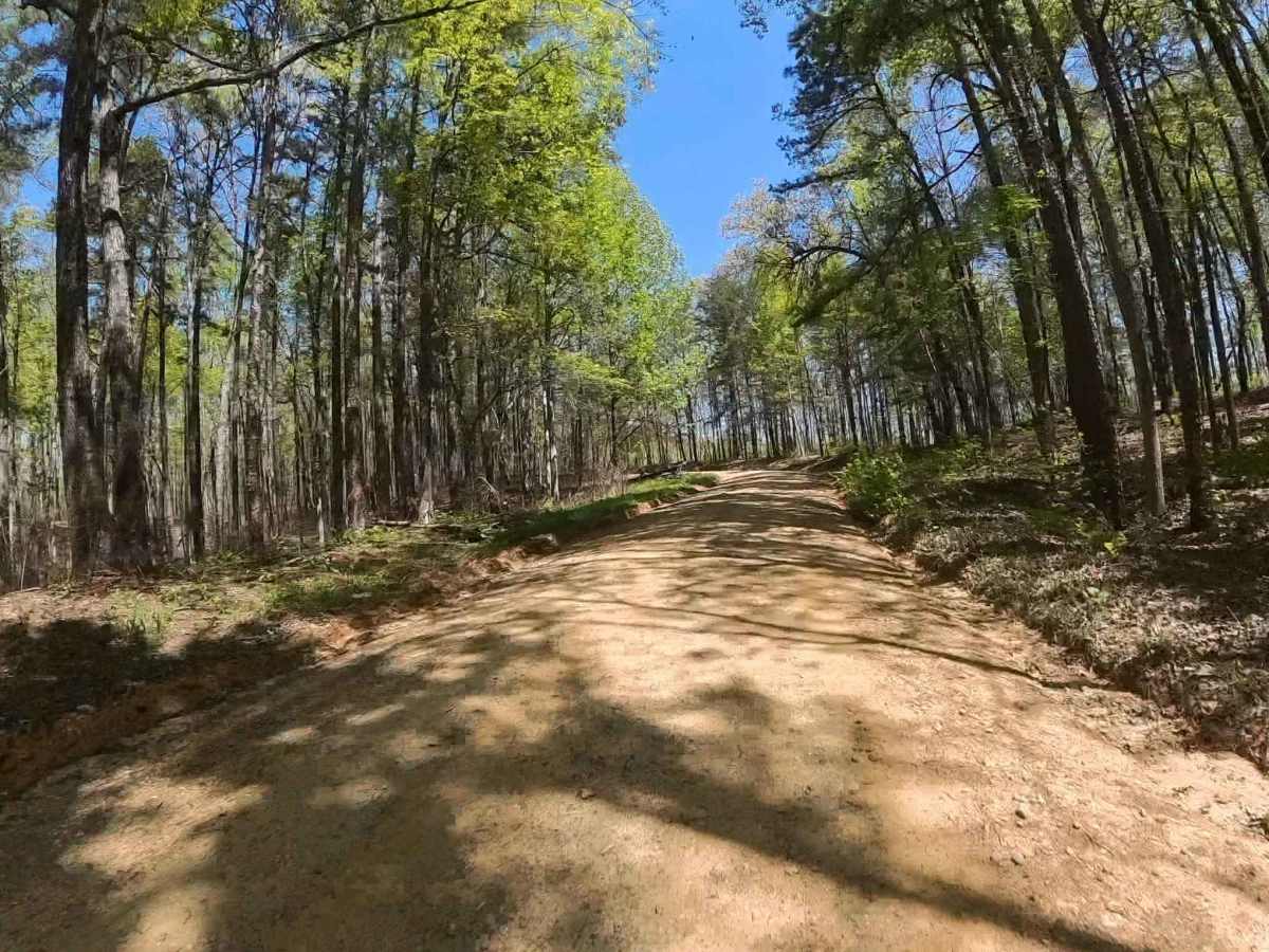 Forest Road 744C photo 3