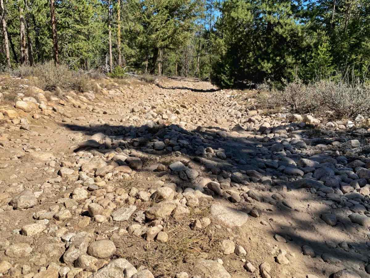 Yellow Belly Lake and Hiking Trails photo 4