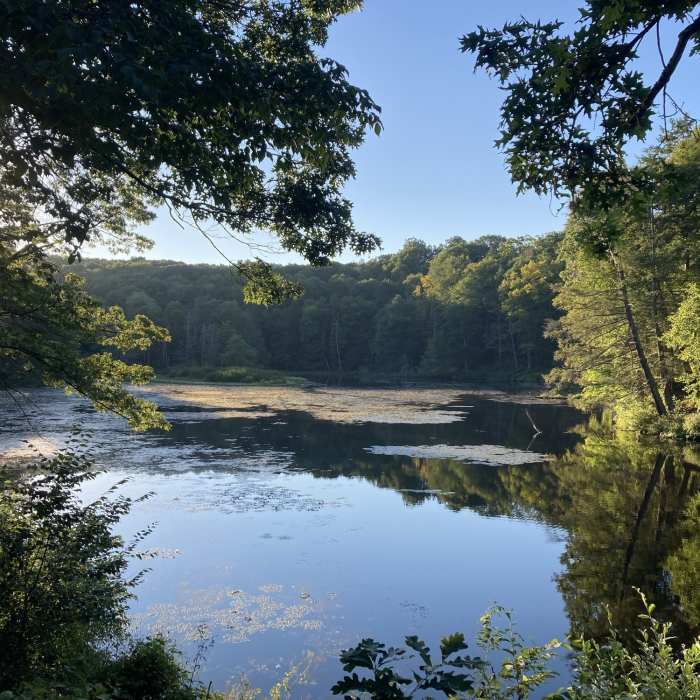 Near Talcott Ravine Trail