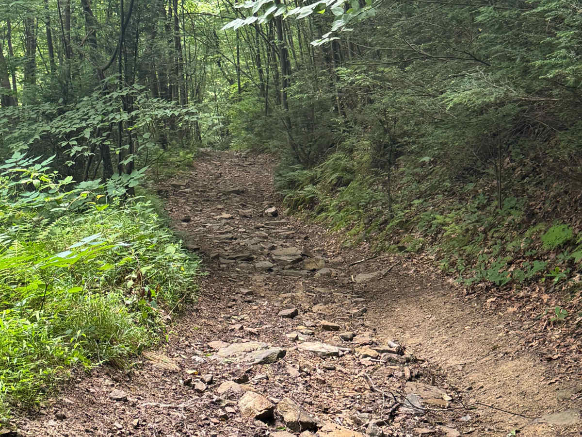Trail 79 photo 5