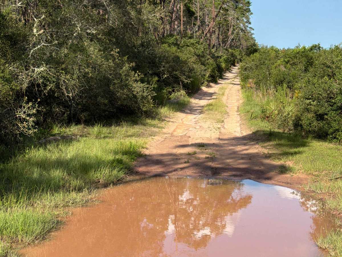 FS 5-10.0 trail photo