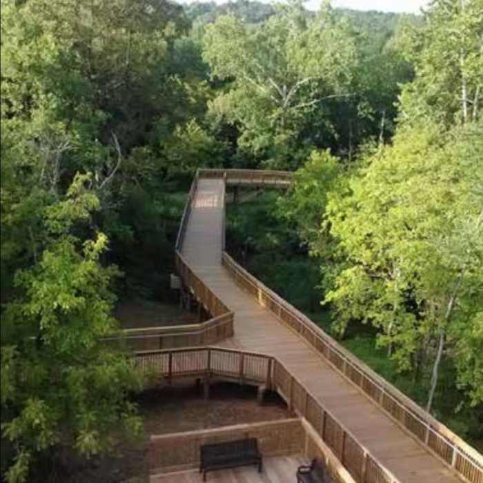 Near Hillsborough Riverwalk