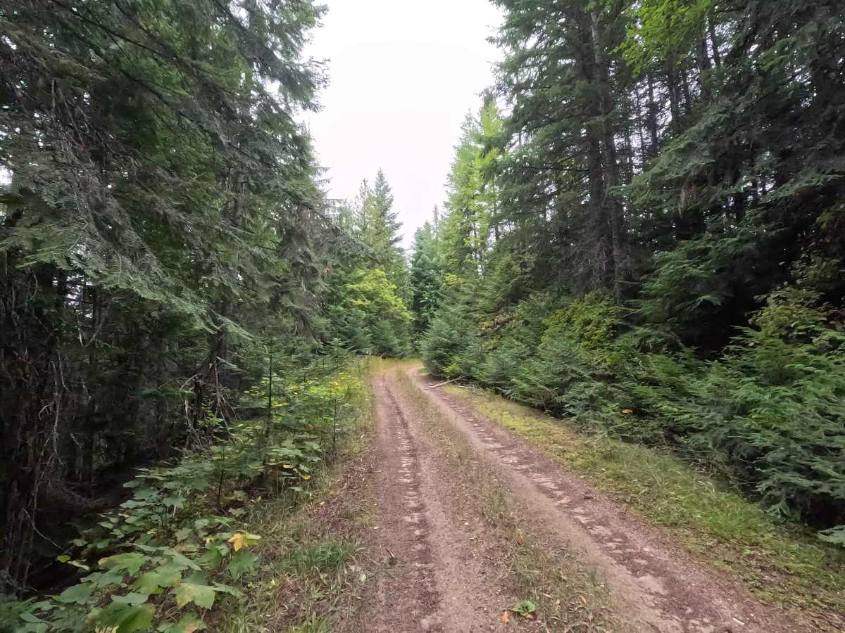Burma - FS 1096 photo 4