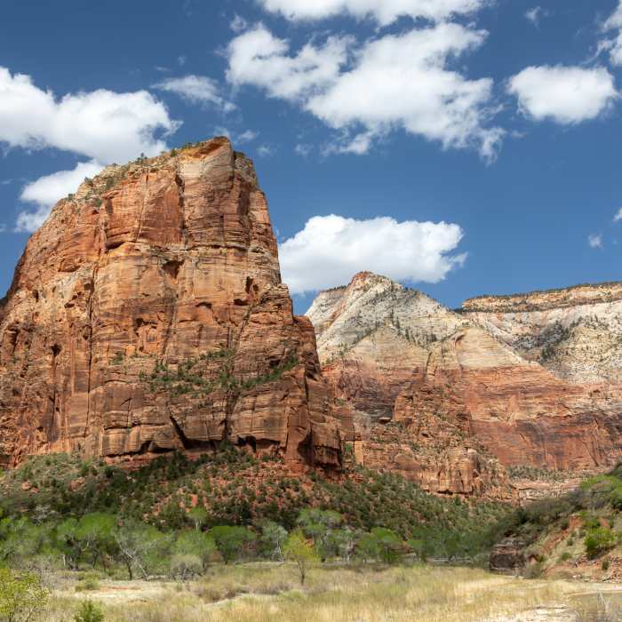 Near Kayenta Trail