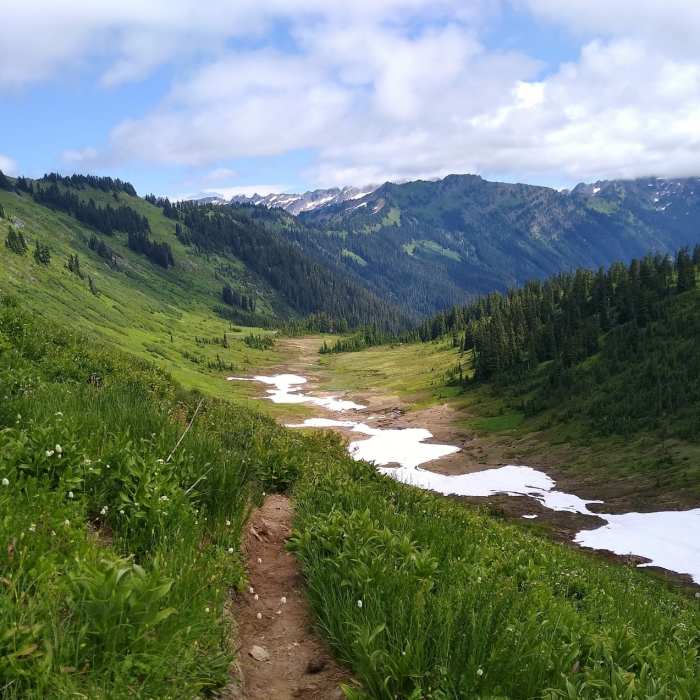 Near Little Wenatchee River Trail #1525