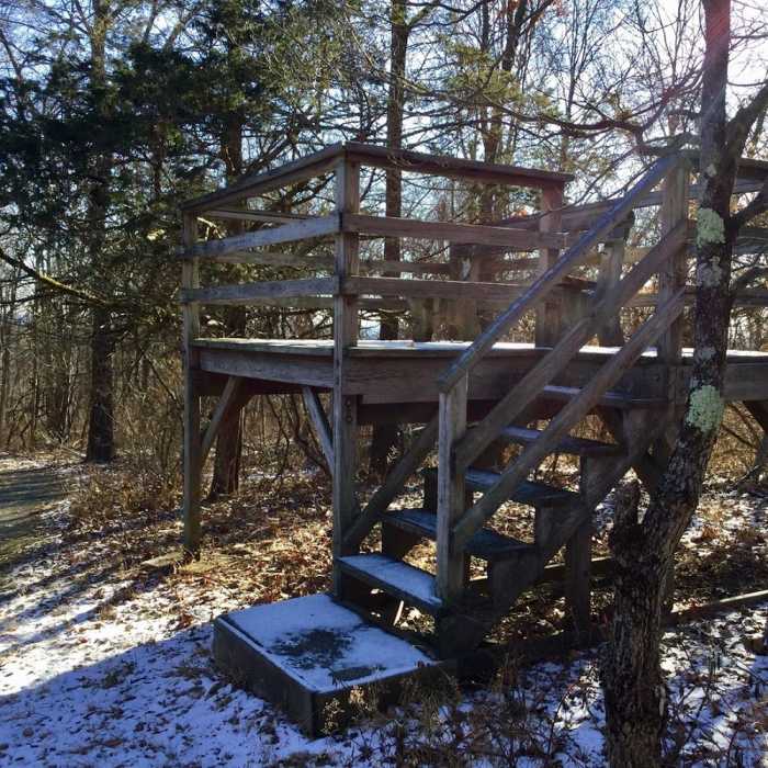 Near Upland Trail (Pink)