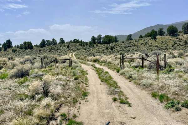 Blackbird Creek Loop - FS 43253