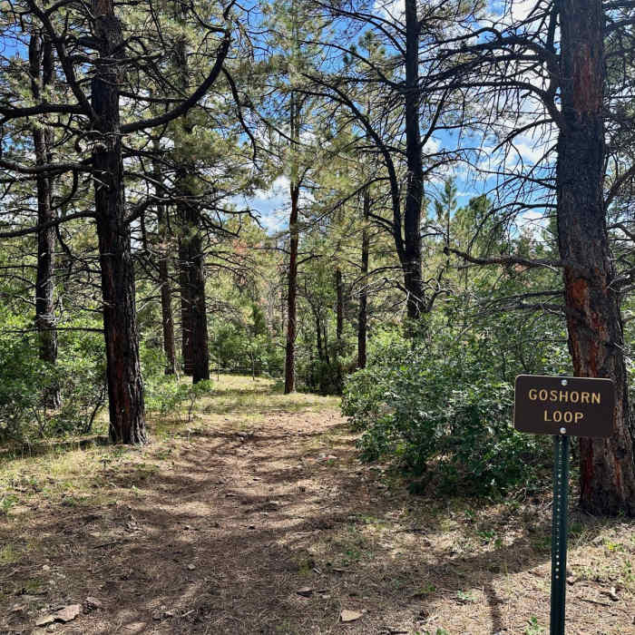 Near Goshorn Loop