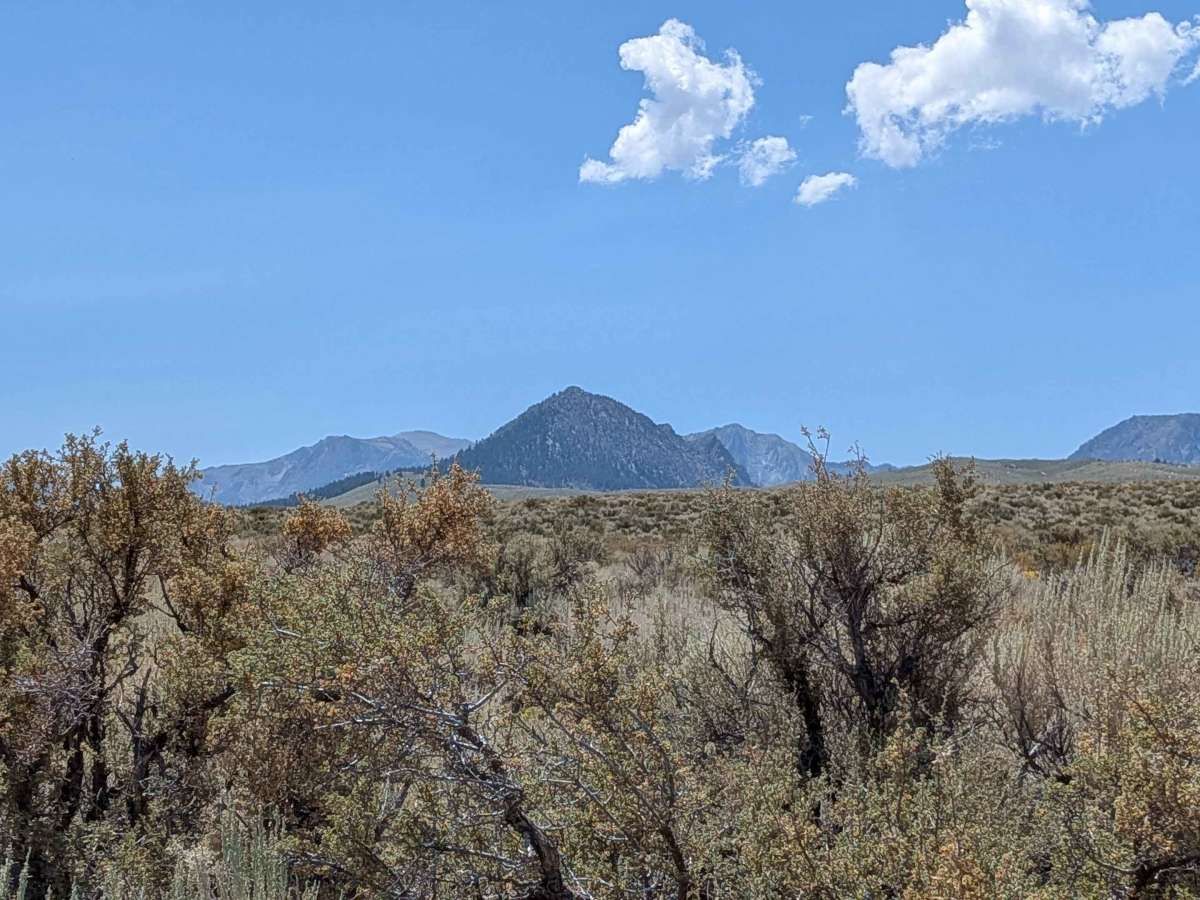 Forest Service Road 1S52 photo 5