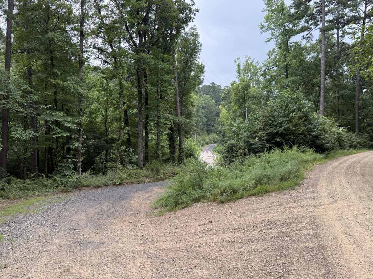 Polk County Road 633 photo 3