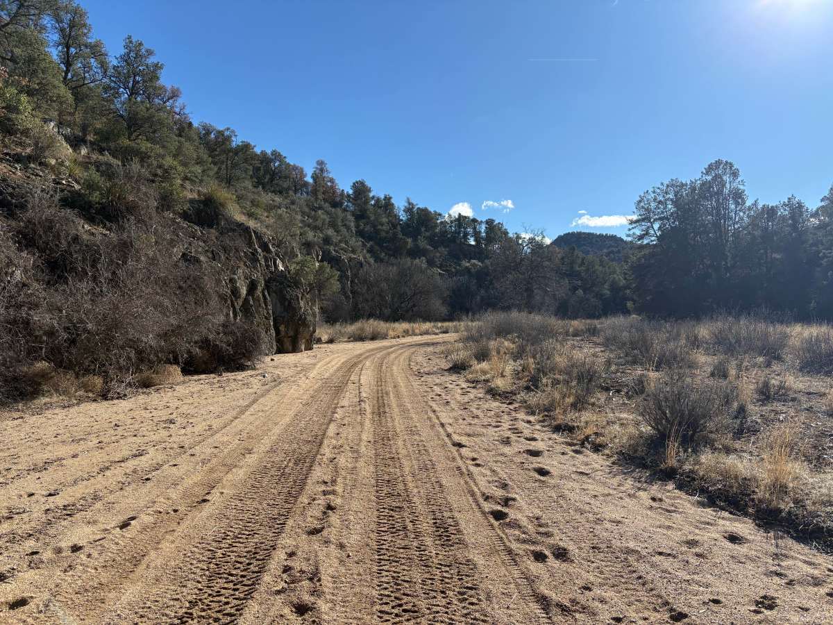 Big Bear trail photo