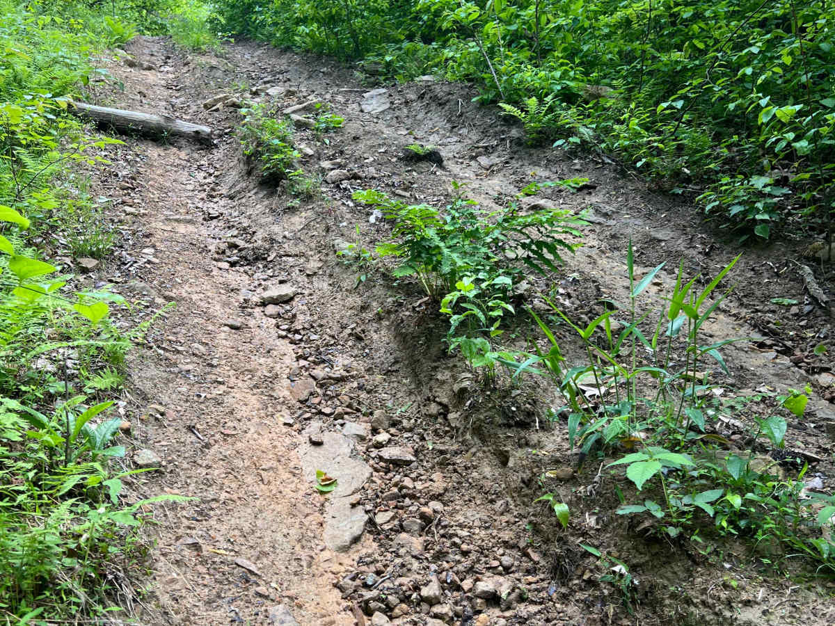 KC8 trail photo