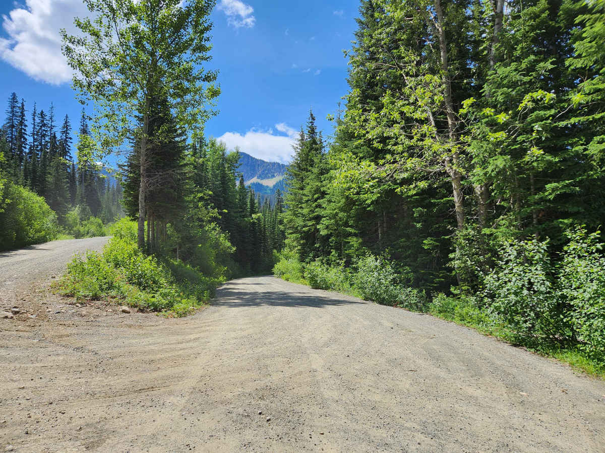Bluebird Creek photo 2