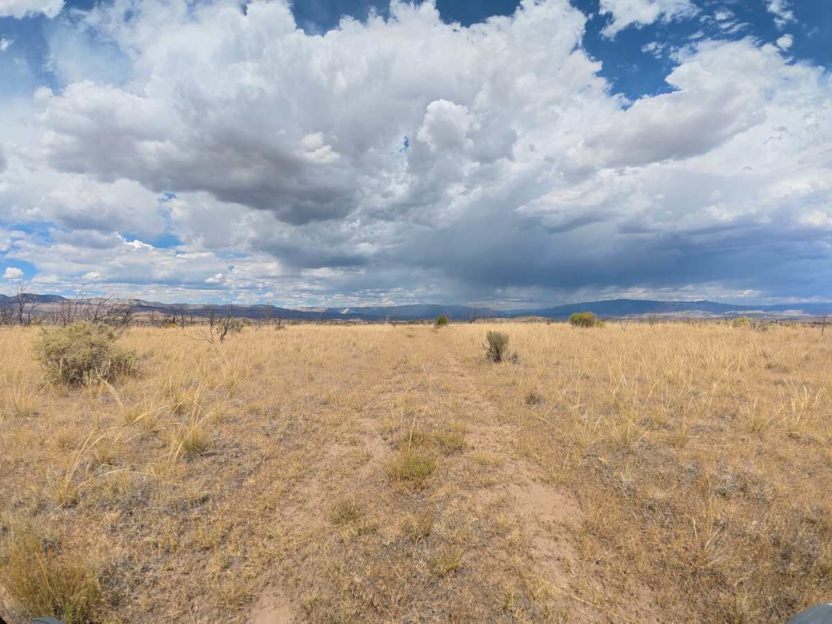 BLM 290 photo 3
