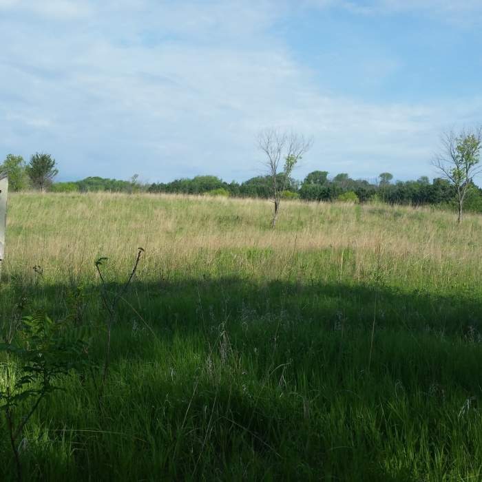 Blue bird house on the edge of the savanna Near William O'Brien Tour