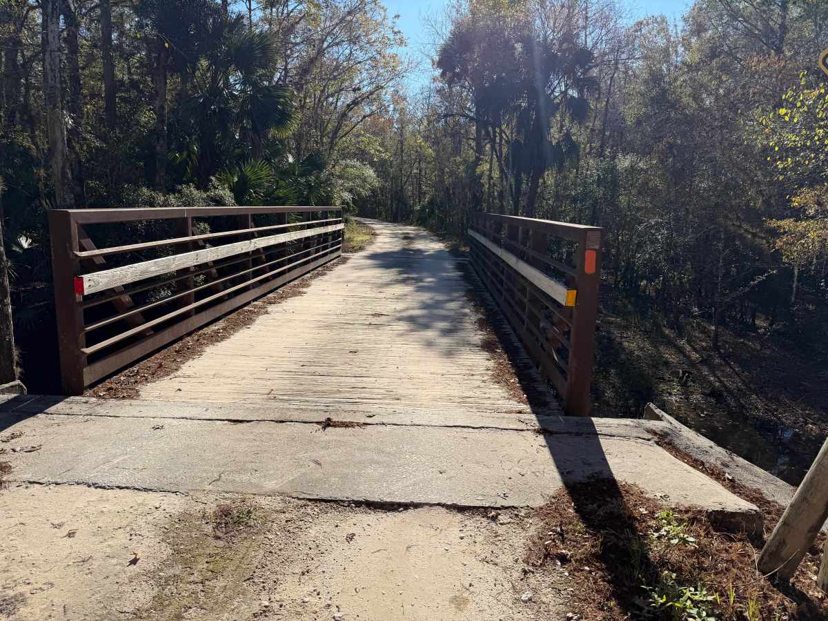 Tillman Lake Road photo 6