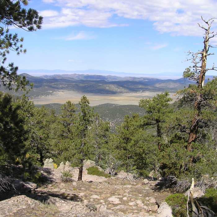 Near Gardner Peak Trail #6