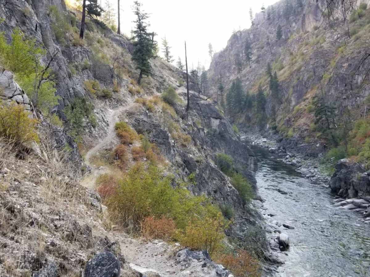 South Fork of the Salmon River Trail trail photo