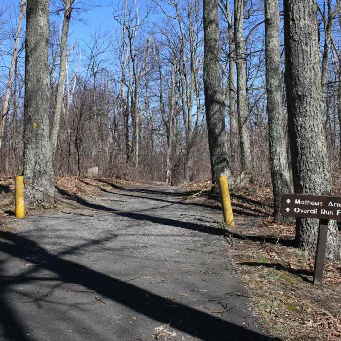 Near Overall Run Falls