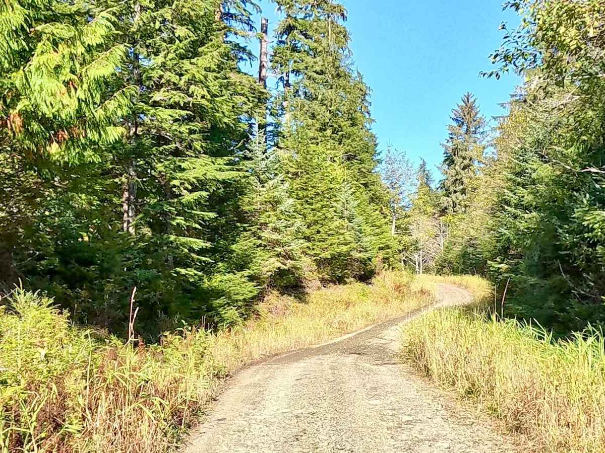 West Falls Creek Road - FS 3015100 photo 2