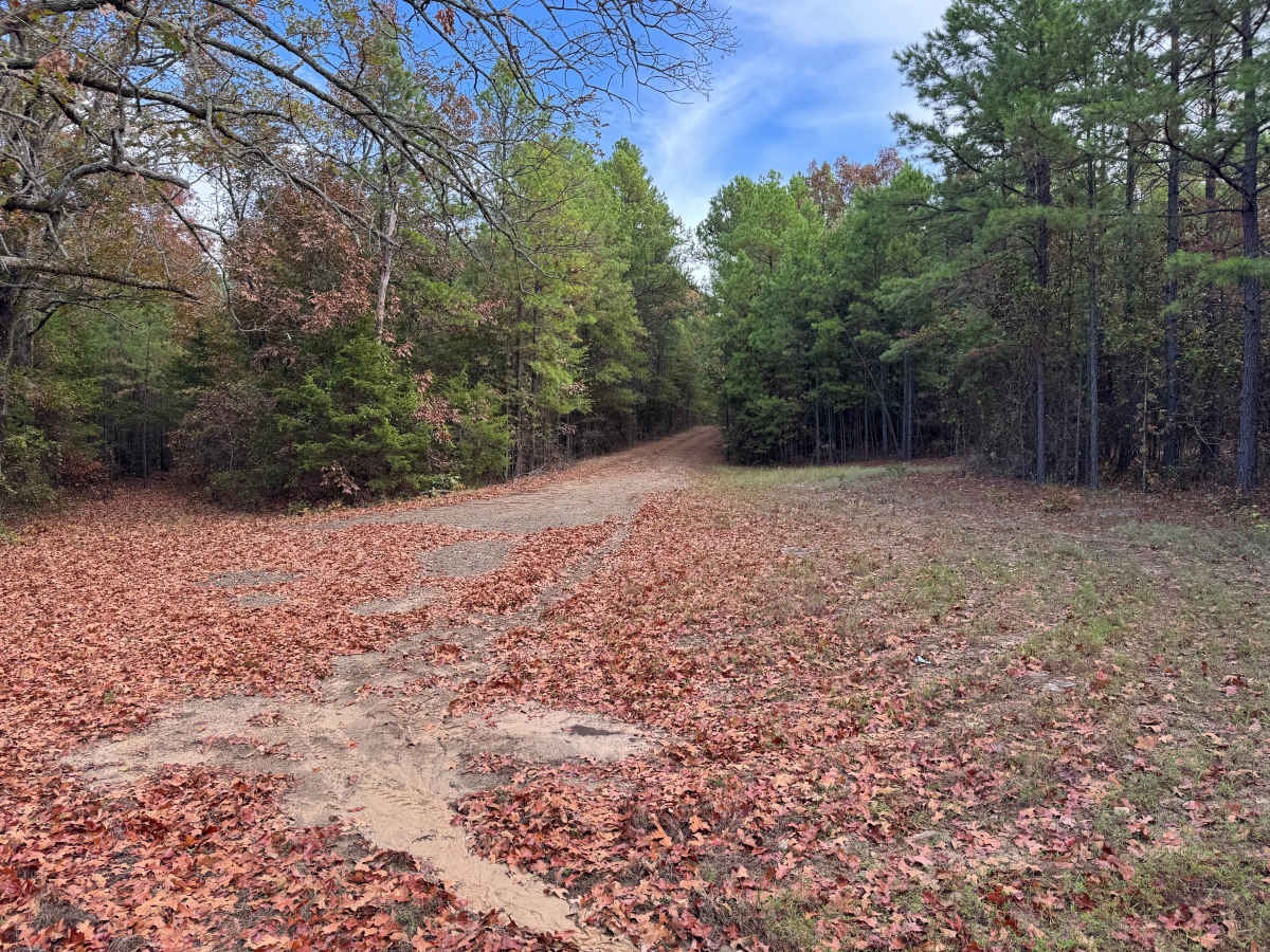 Sing trail photo