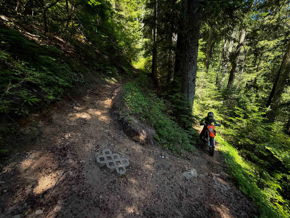 Big Creek Trail 252 photo 3
