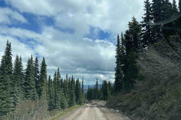 Telkwa 116 Road