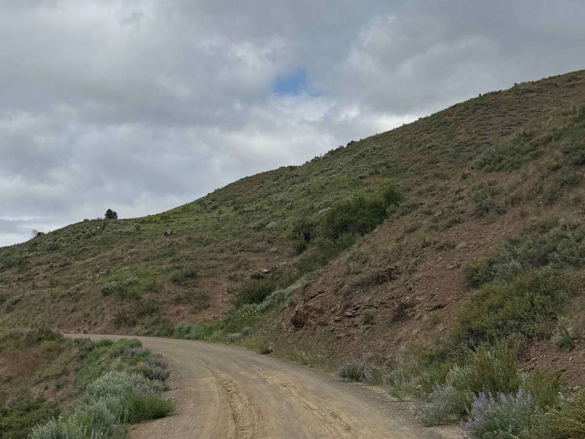 Washout Road - FS 5009-300  photo 4