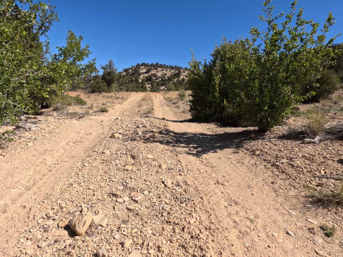 BLM 73Q photo 5