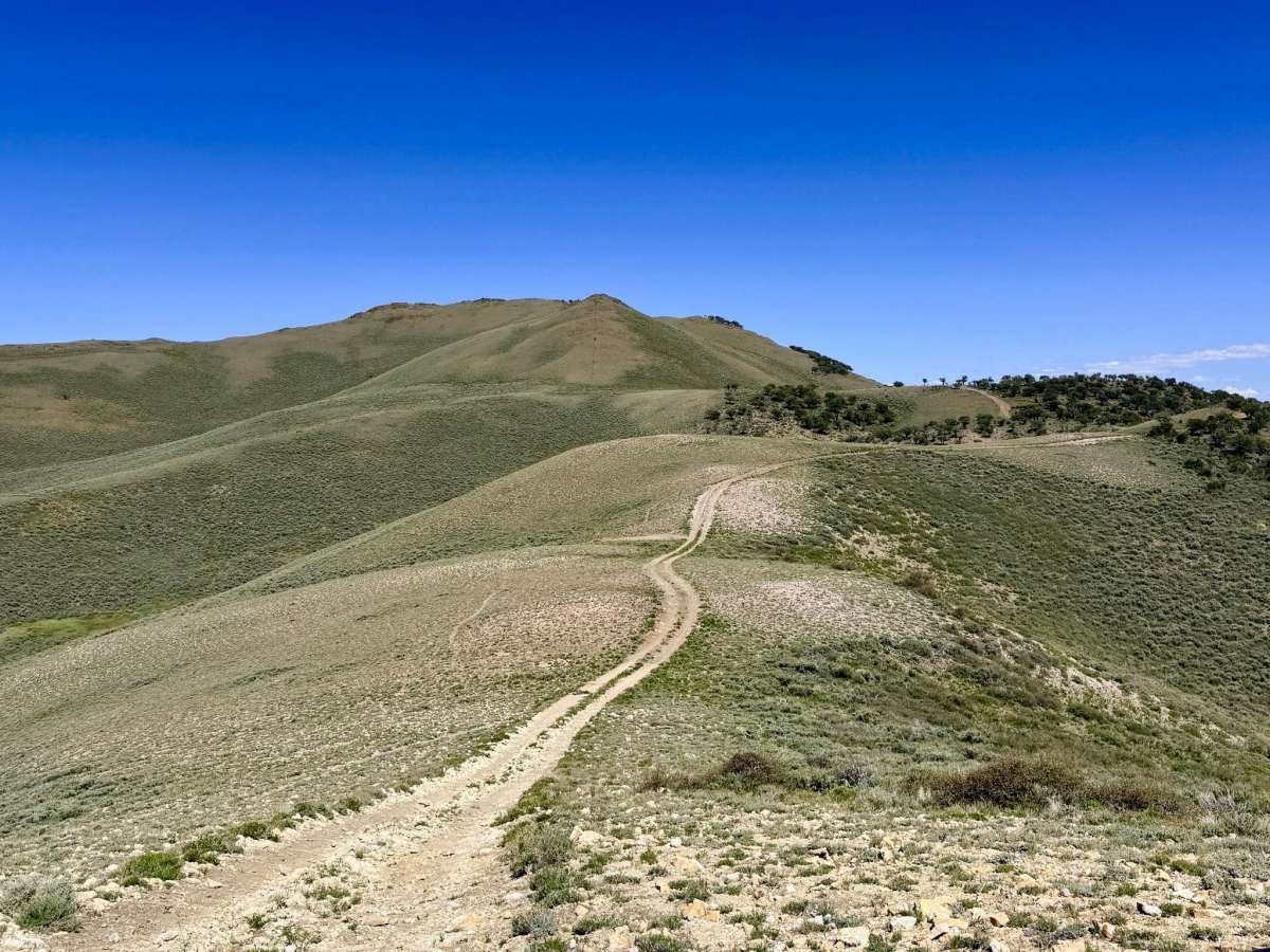  Big Flat - FS 23216 trail photo