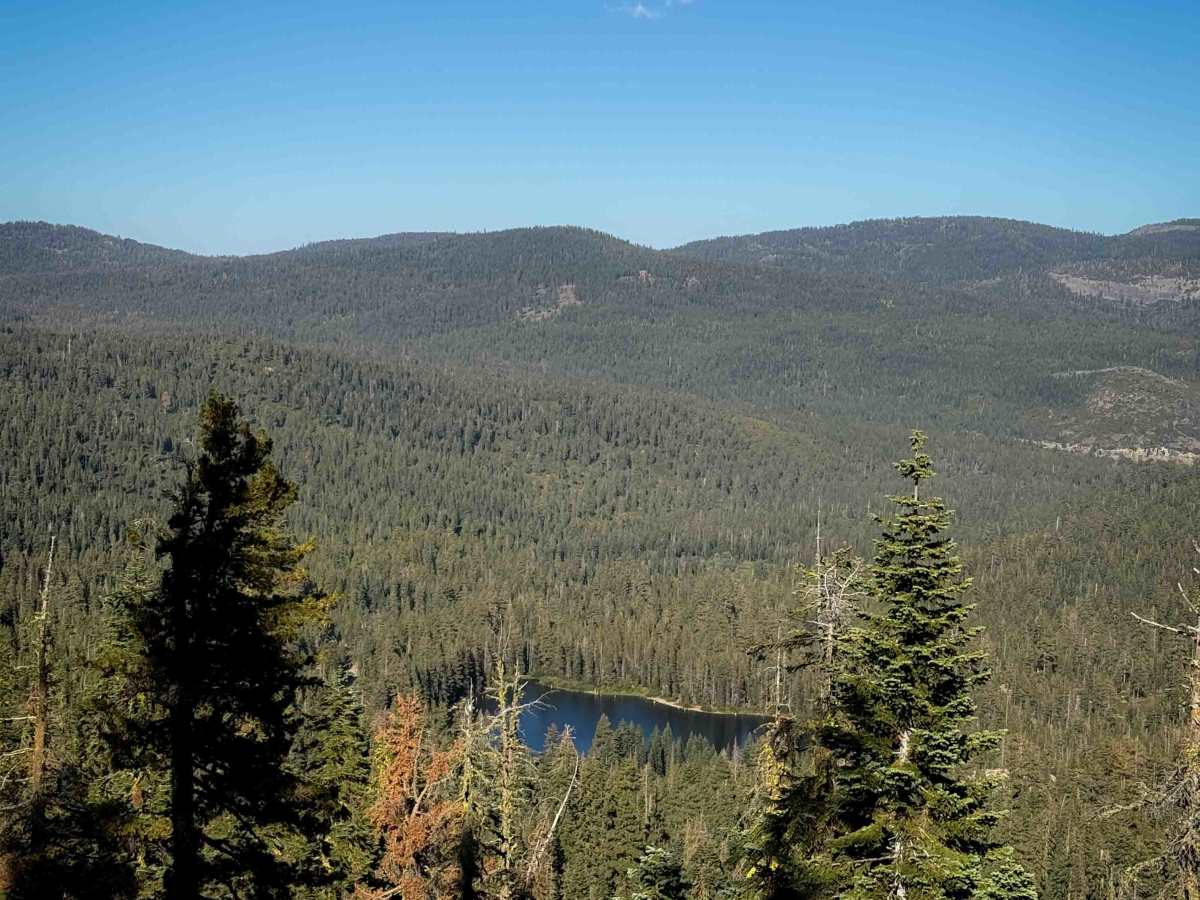 Gold Valley Connector  photo 3