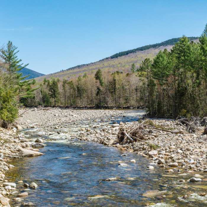 Near Lincoln Woods Trail Near Lincoln Woods Trail