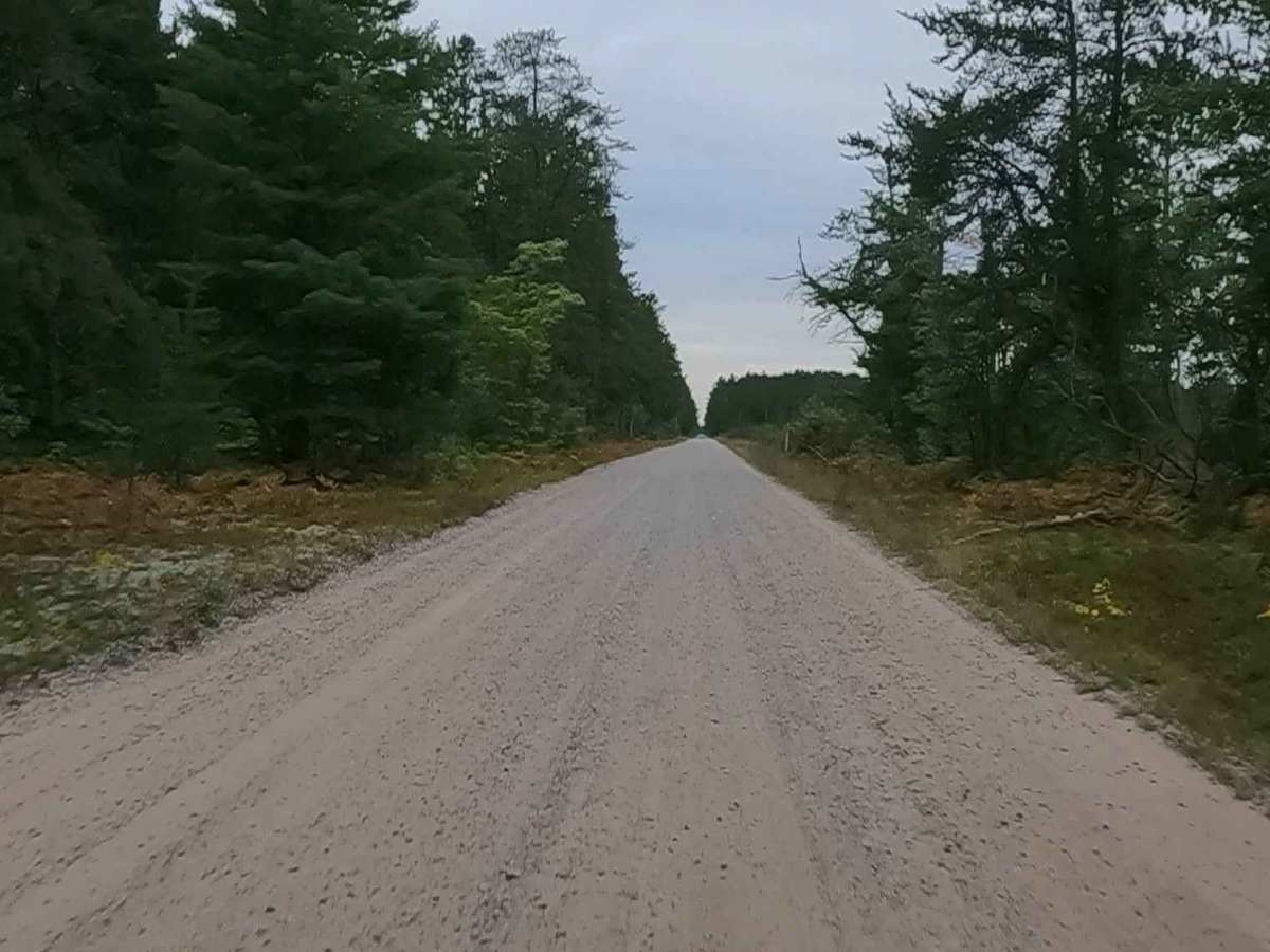 Old Brimley Grade - FS 3153 photo 5