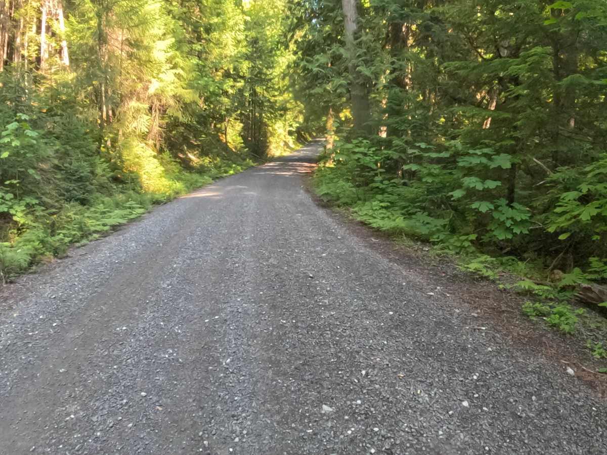 Marion Creek Road - FS 2255-000 photo 5