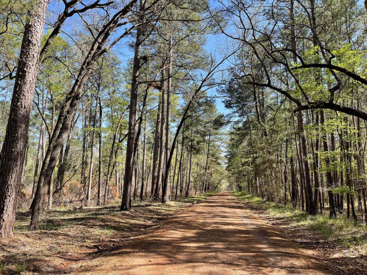 Big Woods photo 6