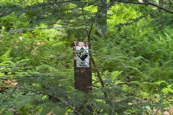 Francis Trail Black Loop