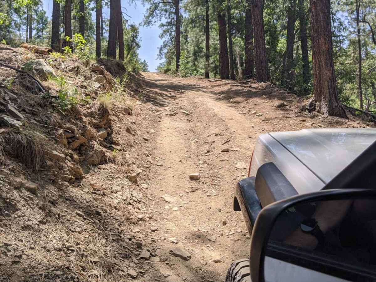 Bannie and Amulet Mine trail photo