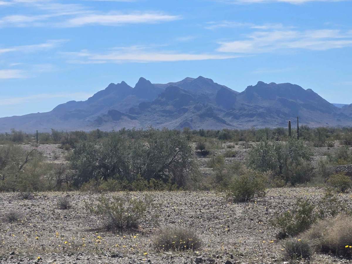 Across the Flats - BLM 0082 photo 4