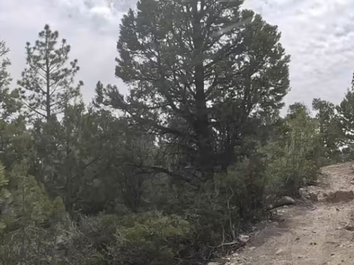 Upper Holcomb - 3N83 photo 5