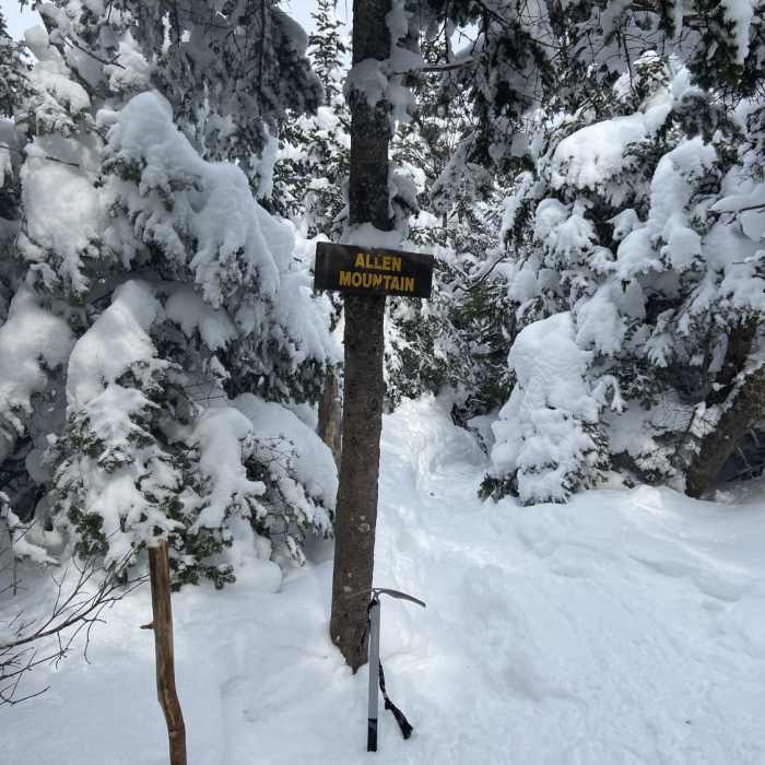 Allen mountain summit Near Allen Mountain Out-and-Back