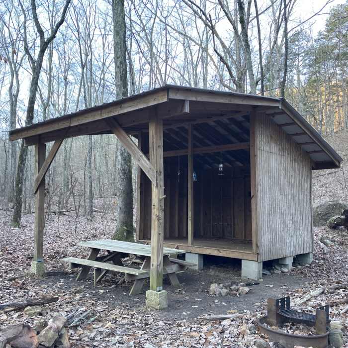 Near Pinhoti Trail: Section 13
