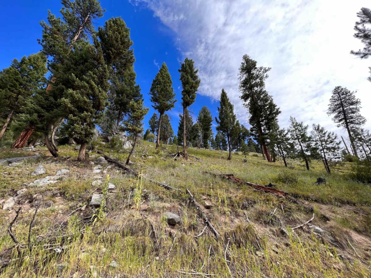 Guide Saddle trail photo
