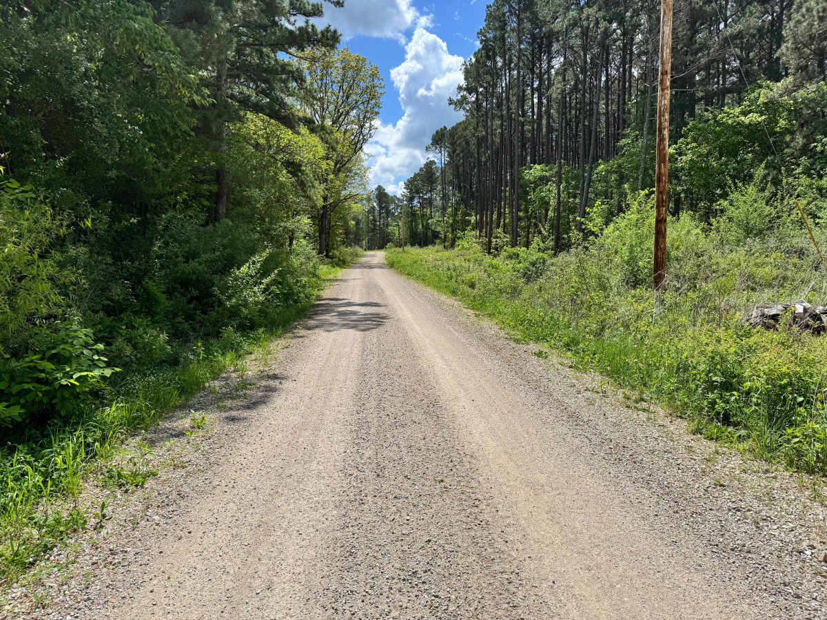 County Road 6630 photo 5